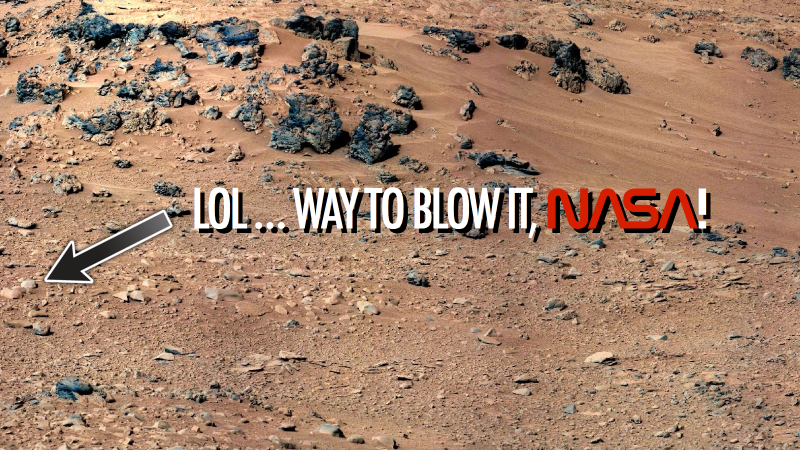 Illustration for article titled NASA totally found a squirrel on Mars and didn't tell anybody